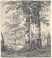 Wooded Landscape with Figures by a Pond, Hendrik Gerrit ten Cate Dutch, Black chalk, point of brush and gray wash; partial black chalk framing lines