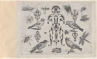 Blackwork Designs with Birds and Insects, Plate 2 from a Series of Blackwork Ornaments combined with figures, birds, animals and flowers, Meinert Gelijs  Dutch, Blackwork and engraving