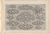 Ein neues Buch von allerhand Gold-Arbeit, auff unterschiedliche Art und Manier sehr wol u. nüzlich zu gebrauchen, Joseph Friedrich Leopold (German, Augsburg 1668–1726 Augsburg), Engraving