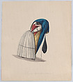 A  woman getting into her saya viewed from behind, from a group of drawings depicting Peruvian dress, Francisco (Pancho) Fierro  African Peruvian, Watercolor