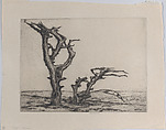 Tree Bones, Ernest Haskell  American, Drypoint