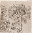 Study of a Group of Trees, Circle of Nicolas Poussin (French, Les Andelys 1594–1665 Rome), Pen and brown ink