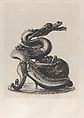 Large Bronze Dragon Incense Burner, Henri Charles Guérard  French, Etching, drypoint, and roulette; between states two and three of three