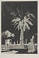 Jewish Cemetery Palm, Colma, Joseph Goldyne, Etching, drypoint, and aquatint; sixth state