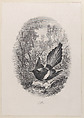 Magpie, Charles-François Daubigny French, Etching; second state of two