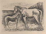 Mare and Foal, Carlo Carrá  Italian, Etching