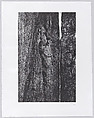Stonehenge X; Cleft of Light, Henry Moore British, Lithograph