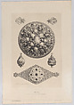 Bijoux, from the Collection of Prince Czartoryski, Jules-Ferdinand Jacquemart French, Etching