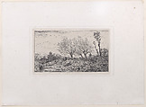 Landscape with Willow Trees, Charles Jacque  French, Etching