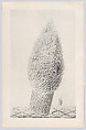Histoire Naturelle, Designed by Max Ernst (French (born Germany), Brühl 1891–1976 Paris)