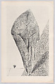 Histoire Naturelle, Designed by Max Ernst (French (born Germany), Brühl 1891–1976 Paris)