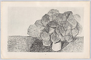 Histoire Naturelle, Designed by Max Ernst (French (born Germany), Brühl 1891–1976 Paris)