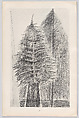 Histoire Naturelle, Designed by Max Ernst (French (born Germany), Brühl 1891–1976 Paris)