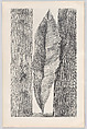 Histoire Naturelle, Designed by Max Ernst (French (born Germany), Brühl 1891–1976 Paris)
