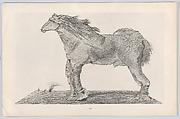 Histoire Naturelle, Designed by Max Ernst (French (born Germany), Brühl 1891–1976 Paris)