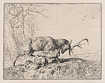 Stag Fighting a Wolf, after Antoine Louis Barye, Charles Jacque French, Etching
