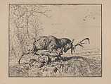 Stag Fighting a Wolf, after Antoine Louis Barye, Charles Jacque French, Etching