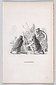 Brennus, from "The Complete Works of Béranger", J. J. Grandville  French, Wood engraving