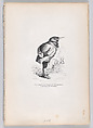 Old, broken, haggard, whimsical, yet good, yet dedicated, and domestic by temperament, from "Scenes from the Private and Public Life of Animals", J. J. Grandville  French, Wood engraving
