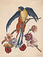 Parrot on a flowering branch, Leo Browne American, Hand-colored etching and engraving