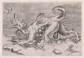 The Dragon and the Bee, Agostino Veneziano (Agostino dei Musi)  Italian, Engraving