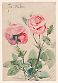 Two Roses, Zacharie Astruc (French, Angers 1833–1907 Paris), Watercolor