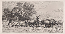 Attelage de Boeufs, Charles Jacque  French, Etching