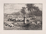 Troupeau de Porcs, Charles Jacque  French, Etching and drypoint