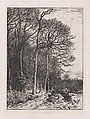 Lisière du Bois, Charles Jacque  French, Etching