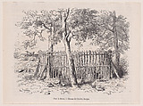 Parc à élèves, from "Le Magasin Pittoresque", Charles Jacque  French, Wood engraving