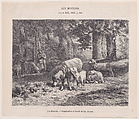 Sheep, from "Le Magasin Pittoresque", Charles Jacque French, Wood engraving