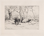 Moutons, Charles Jacque  French, Etching