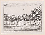 Le Saules au Bord de l'Eau (The Willows at the Waterfront), plate 23 from "Lux Claustri ou La Lumière du Cloitre" (The Light of the Cloisters), Jacques Callot  French, Etching; second state of two (Lieure)