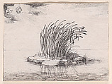 Les Roseaux et Le Vent (The Reed and The Wind), plate 27 from "Lux Claustri ou La Lumière du Cloitre" (The Light of the Cloisters), Jacques Callot  French, Etching; second state of two (Lieure)