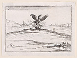 Le Phénix se Brulant (The Phoenix is Burning), plate 7 from "Lux Claustri ou La Lumière du Cloitre" (The Light of the Cloisters), Jacques Callot  French, Etching; second state of two (Lieure)