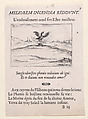 Le Phénix se Brulant (The Phoenix is Burning), plate 7 from "Lux Claustri ou La Lumière du Cloitre" (The Light of the Cloisters), Jacques Callot  French, Etching; second state of two (Lieure)