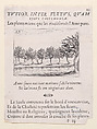 Le Saules au Bord de l'Eau (The Willows at the Waterfront), plate 23 from "Lux Claustri ou La Lumière du Cloitre" (The Light of the Cloisters), Jacques Callot  French, Etching and letterpress; second state of two (Lieure)