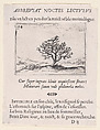 Le Rossignol Posé sur un Buisson (A Nightengale Standing on a Bush), plate 14 from "Lux Claustri ou La Lumière du Cloitre" (The Light of the Cloisters), Jacques Callot  French, Etching and letterpress; second state of two (Lieure)