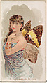 Card 1, Gynaecia Dirce, from the Butterflies series (N183) issued by Wm. S. Kimball & Co., William S. Kimball & Company, Commercial color lithograph