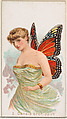 Card 5, Danais Archippus, from the Butterflies series (N183) issued by Wm. S. Kimball & Co., William S. Kimball & Company, Commercial color lithograph