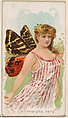 Card 6, Calimorpha Hera, from the Butterflies series (N183) issued by Wm. S. Kimball & Co., William S. Kimball & Company, Commercial color lithograph