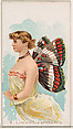 Card 9, Limenitis Arthemis, from the Butterflies series (N183) issued by Wm. S. Kimball & Co., William S. Kimball & Company, Commercial color lithograph