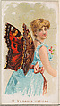 Card 12, Vanessa Urticae, from the Butterflies series (N183) issued by Wm. S. Kimball & Co., William S. Kimball & Company, Commercial color lithograph