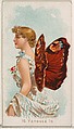 Card 16, Vanessa Io, from the Butterflies series (N183) issued by Wm. S. Kimball & Co., William S. Kimball & Company, Commercial color lithograph