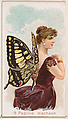 Card 18, Papilio Machaon, from the Butterflies series (N183) issued by Wm. S. Kimball & Co., William S. Kimball & Company, Commercial color lithograph