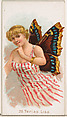 Card 28, Terias Lisa, from the Butterflies series (N183) issued by Wm. S. Kimball & Co., William S. Kimball & Company, Commercial color lithograph