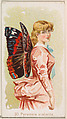 Card 30, Pyrameis Atalanta, from the Butterflies series (N183) issued by Wm. S. Kimball & Co., William S. Kimball & Company, Commercial color lithograph