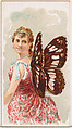 Card 35, Limenitis Sybilla, from the Butterflies series (N183) issued by Wm. S. Kimball & Co., William S. Kimball & Company, Commercial color lithograph