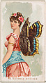 Card 43, Vanessa Antiopa, from the Butterflies series (N183) issued by Wm. S. Kimball & Co., William S. Kimball & Company, Commercial color lithograph