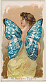 Card 48, Morpho Cypris, from the Butterflies series (N183) issued by Wm. S. Kimball & Co., William S. Kimball & Company, Commercial color lithograph